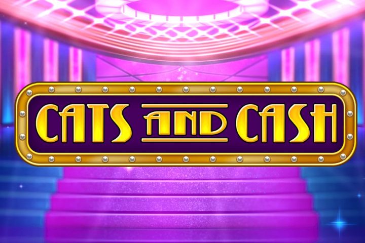 Cats & Cash Slot Review